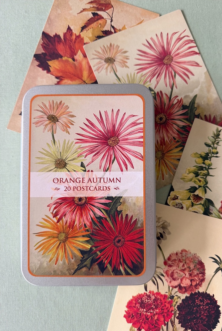 orange_autumn_postcards
