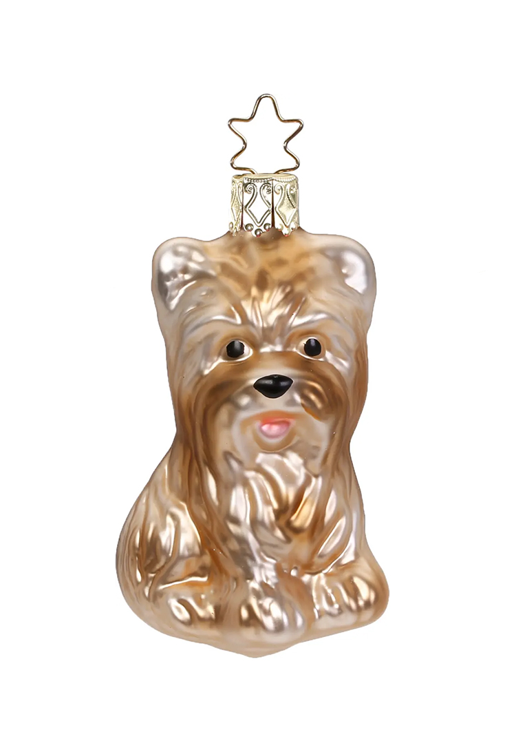 10027S019-terrier
