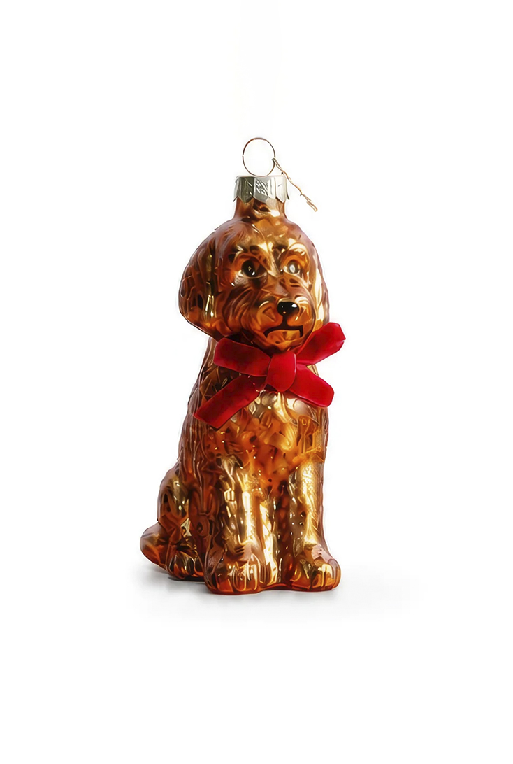 labradoodle